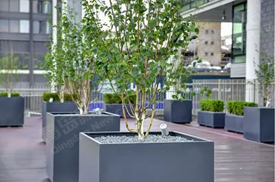 园林花箱